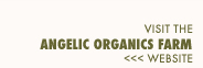 Visit the Angelic Organics Farm website