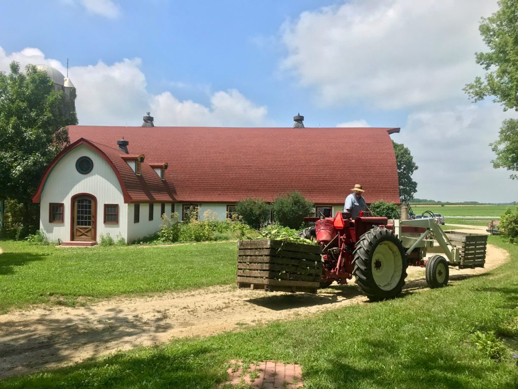 Ферма в инстаграме. Farm News.