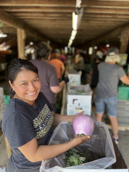 Farmer John Writes A Peek into the Backstage Angelic Organics